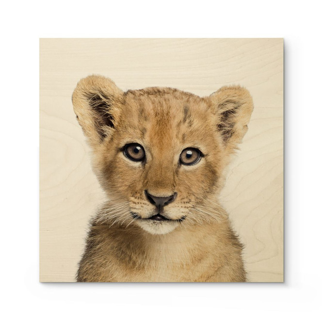 Holzbild Baby Löwe - Sisi & Seb - Quadratisch