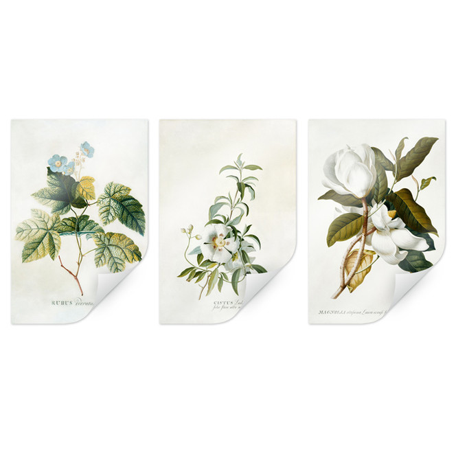 Poster Ehret - Set (3-teilig)