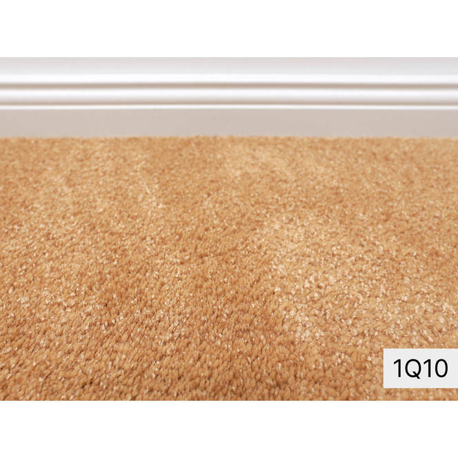 Alba Vorwerk Teppichboden Meterware in 1Q10