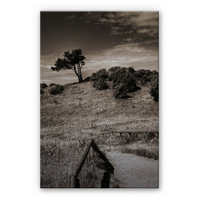 Alu-Dibond Bild Landschaft auf Hiddensee