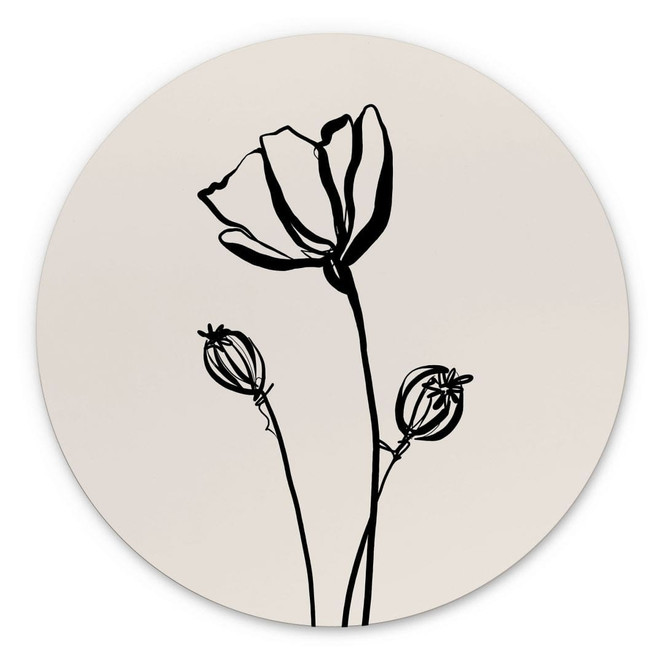 Wandbild Line Art Mohnblume - Cats & Dotz - Alu-Dibond Rund