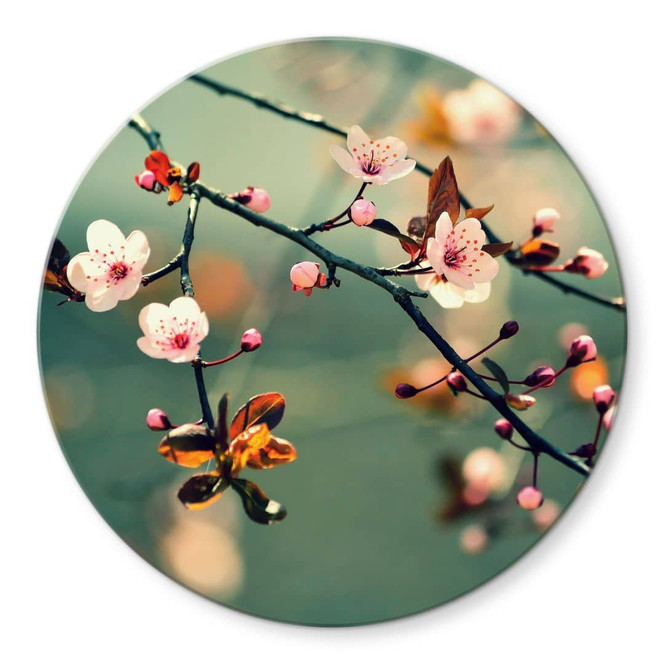 Glasbild Frühlingserwachen - rund