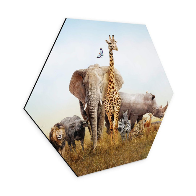 Hexagon - Alu-Dibond Afrikanische Tiere