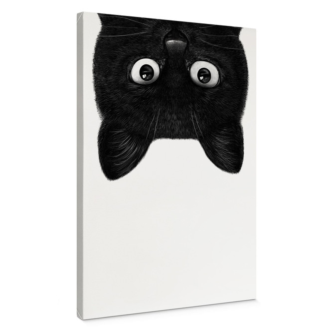 Leinwandbild Schwarze Katze kopfüber - Korenkova