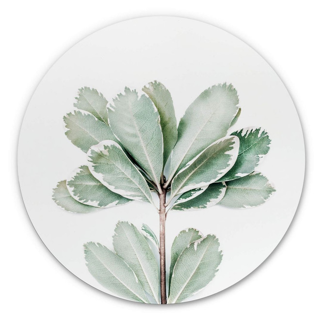 Alu-Dibond Sisi & Seb - Botanik - Rund
