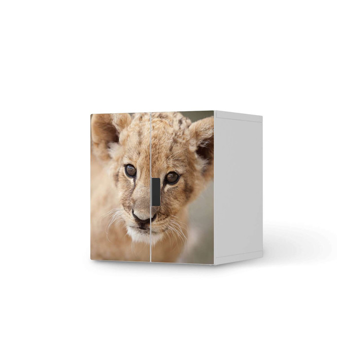 Möbelfolie IKEA Stuva / Malad Schrank - 2 kleine Türen - Simba- Bild 1