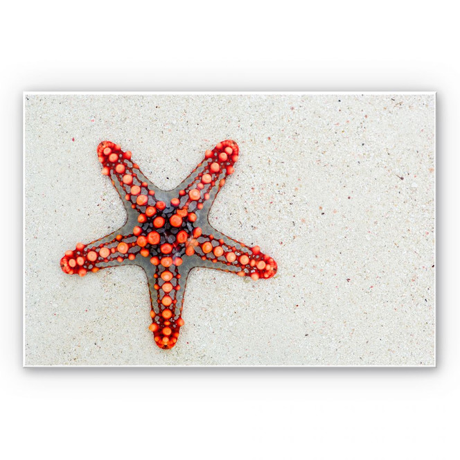 Wandbild Leuchtender Seestern