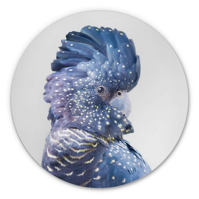Alu-Dibond Sisi & Seb - Blaue Kakadu - Rund