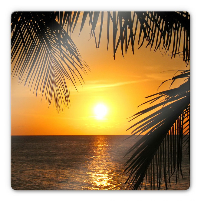 Glasbild Unter Palmen - quadratisch