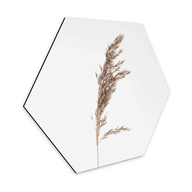 Hexagon - Alu-Dibond Ziergras No. 3