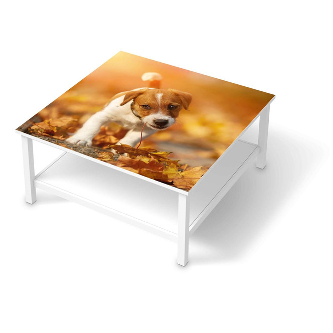 Klebefolie IKEA Hemnes Tisch 90x90cm - Jack the Puppy- Bild 1