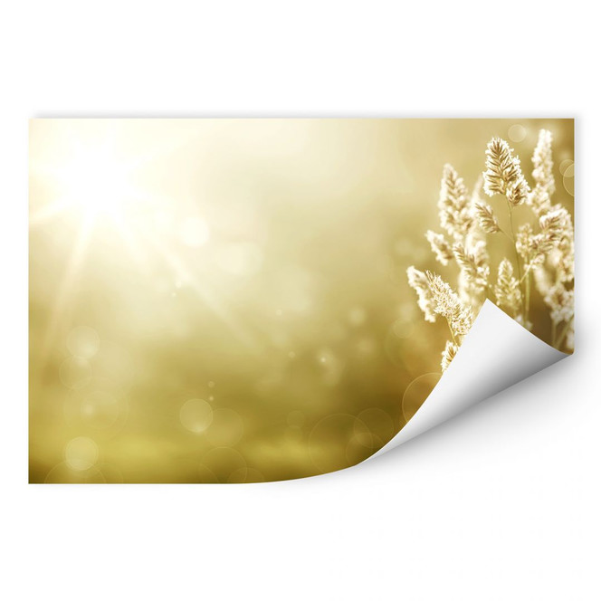 Wallprint Sonniges Kornfeld