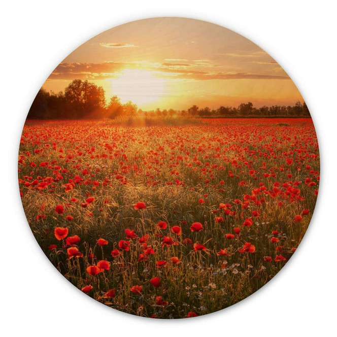 Holzbild - Mohnfeld im Sonnenuntergang – Rund
