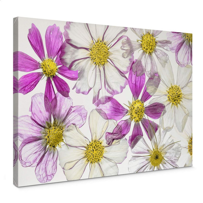 Leinwandbild Disher - Keeping Summer