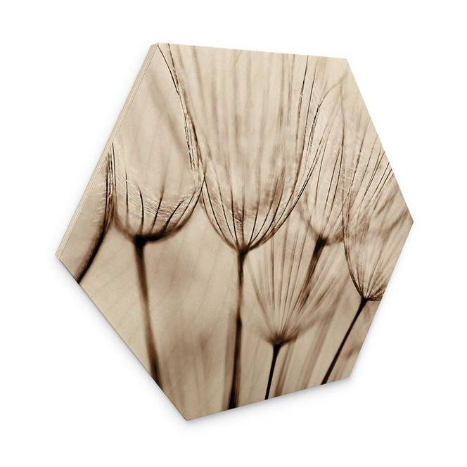 Hexagon Holzbild Fliegerschirmchen