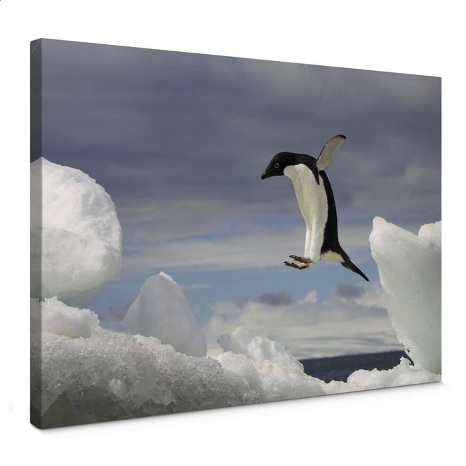 Leinwandbild NG Pinguin Fly