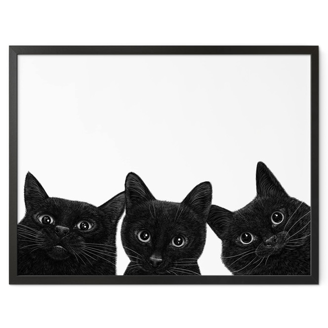 Poster Schwarzes Katzen Trio - Korenkova