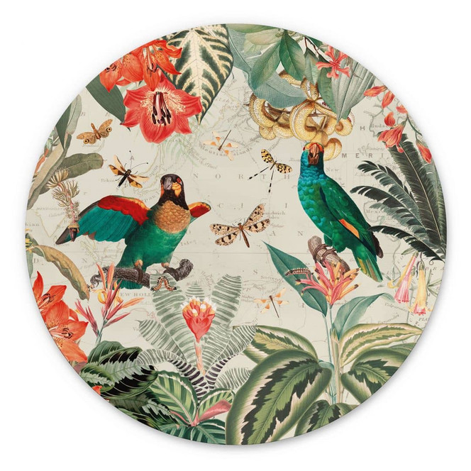 Wandbild Exotischer Dschungel mit Papageien - UN Designs - Alu-Dibond - Rund