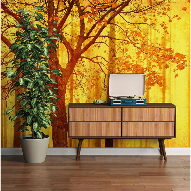 Architects Paper Fototapete Atelier 47 Edge Wald - Bild 1