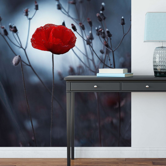 Fototapete - Bravin - Mohnblume in der Dämmerung192x260cm - Bild 1
