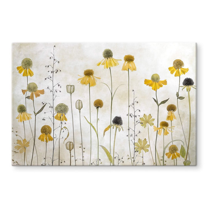 Glasbild Disher - Sonnenbraut