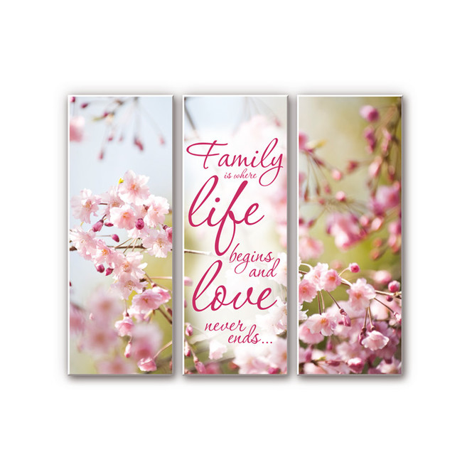 Hartschaumbild Family is where Life begins (3-teilig)
