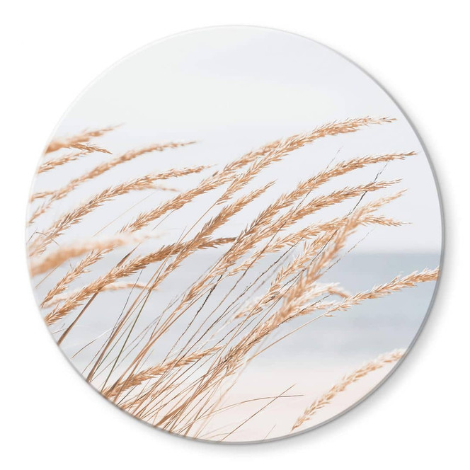 Glasbild Dünengras - Rund
