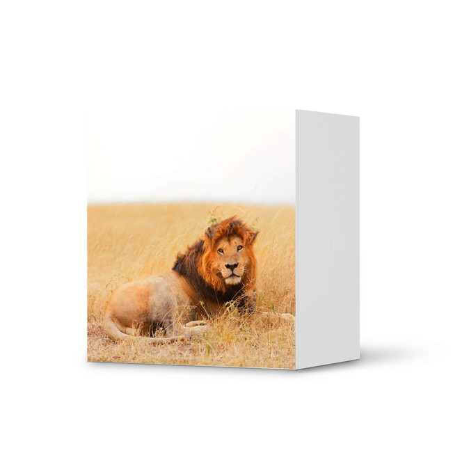 Klebefolie IKEA Besta Regal 1 Türe - Lion King- Bild 1