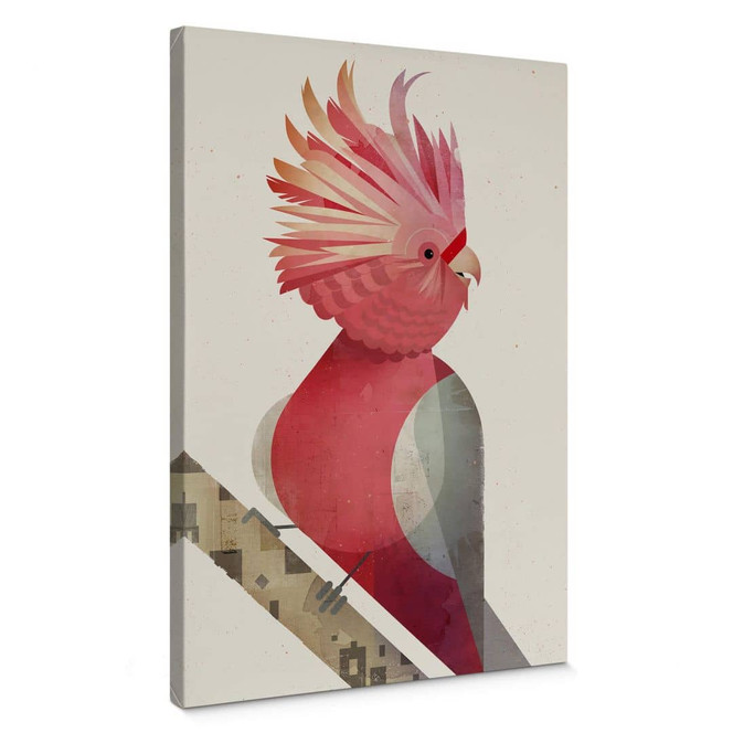 Leinwandbild Braun - Rosakakadu