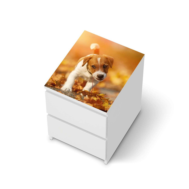 Möbelfolie IKEA Malm Kommode 2 Schubladen oben - Jack the Puppy- Bild 1