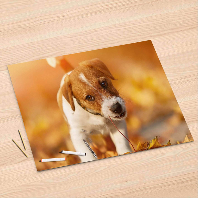 Folienbogen (120x80cm) - Jack the Puppy- Bild 1