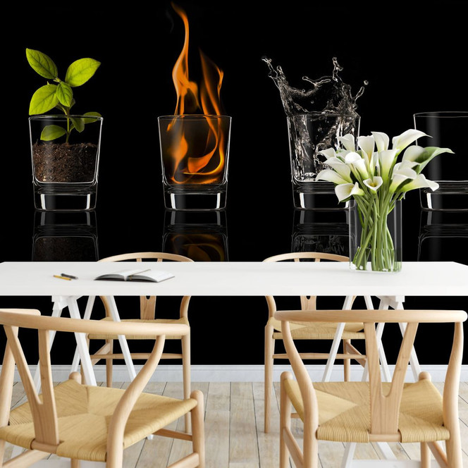 Fototapete Frutos Vargas - The Four Elements