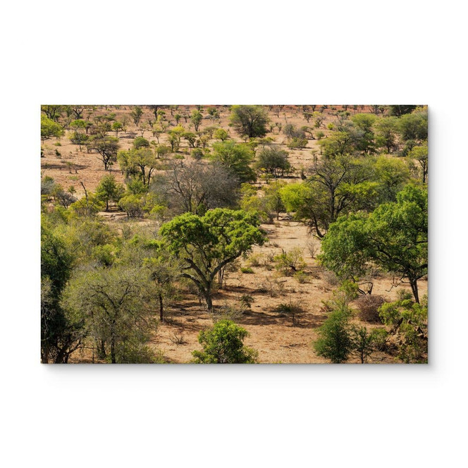 Holzbild Savannenlandschaft in Afrika - Hugonnard
