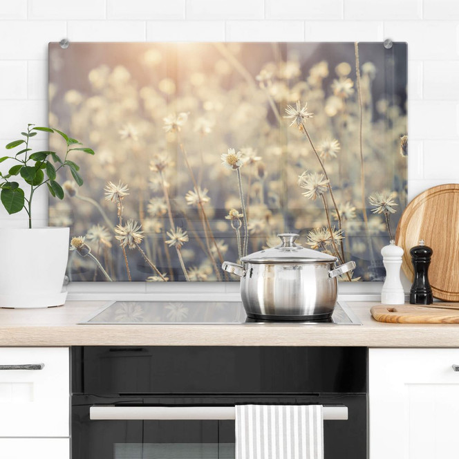 Spritzschutz Mexican Daisy