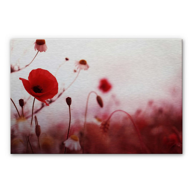 Alu-Dibond Bild Mohn Impressionen