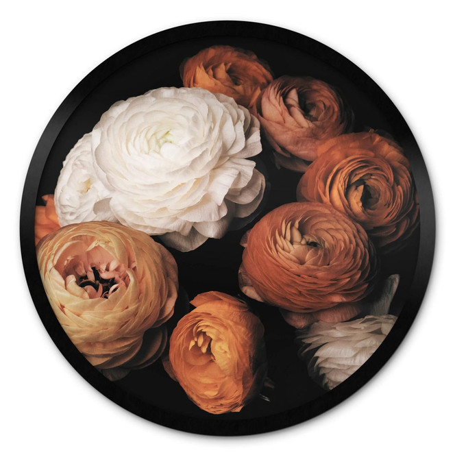 Poster FiguraNYC Photography - Ranunkeln Stillleben - Rund