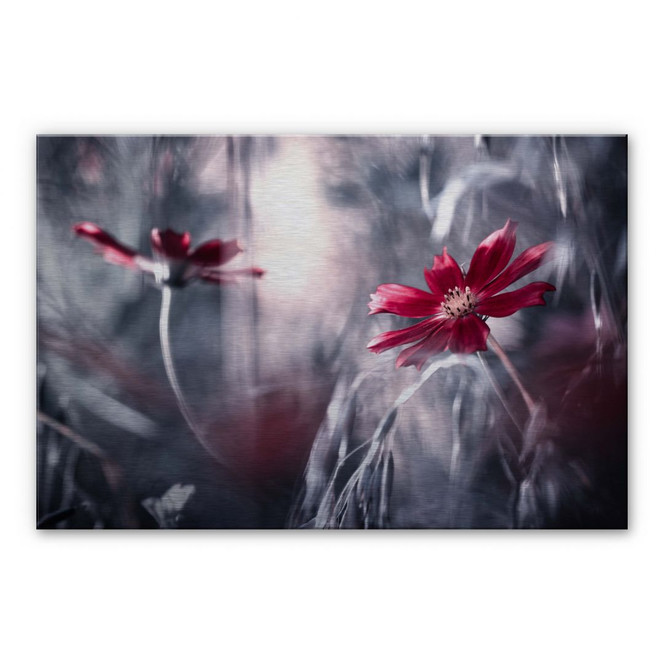 Alu-Dibond Bild mit Silbereffekt Bravin - Blütenrausch