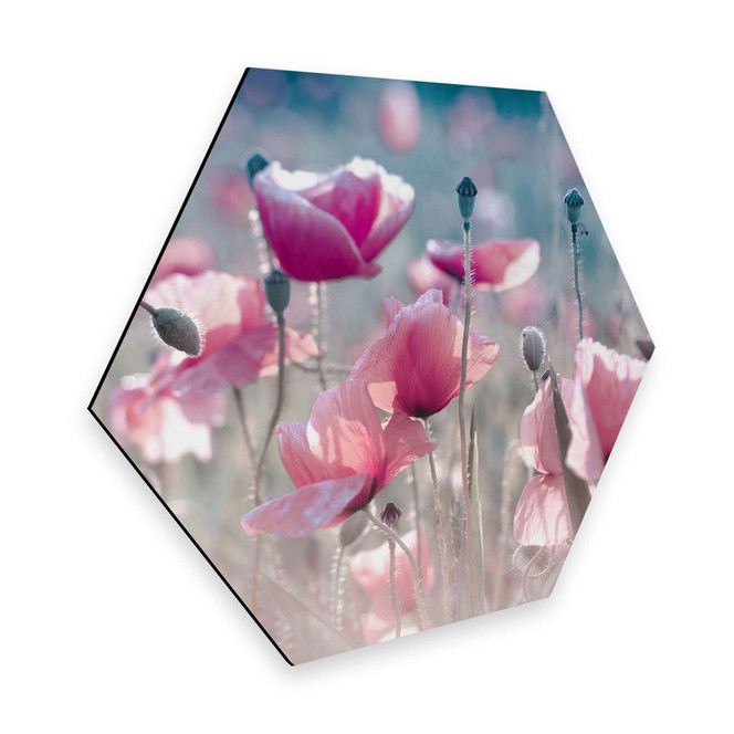 Hexagon - Alu-Dibond Delgado - Mohnblumenwiese