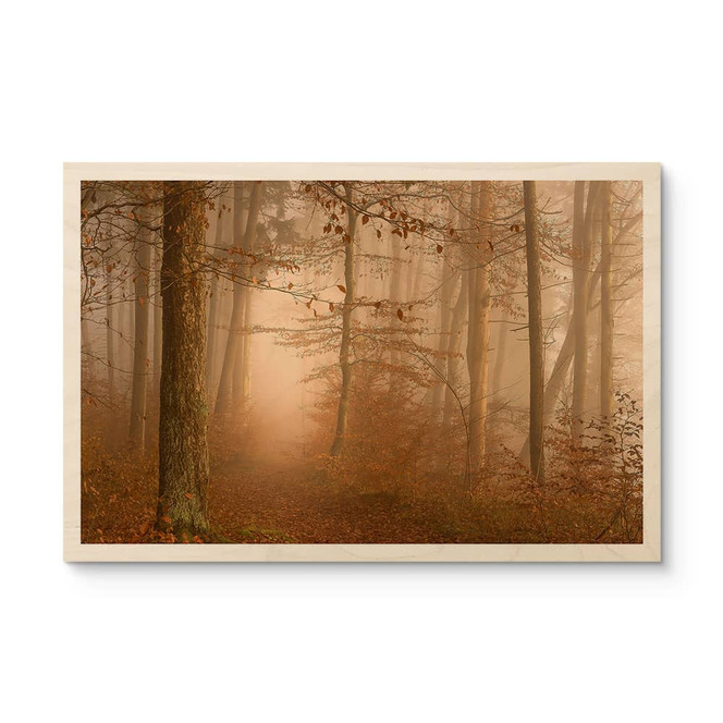 Holzbild Dunst und Licht im herbstlichen Wald - Maier