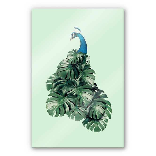 Acrylglasbild Loose - Monstera Bird