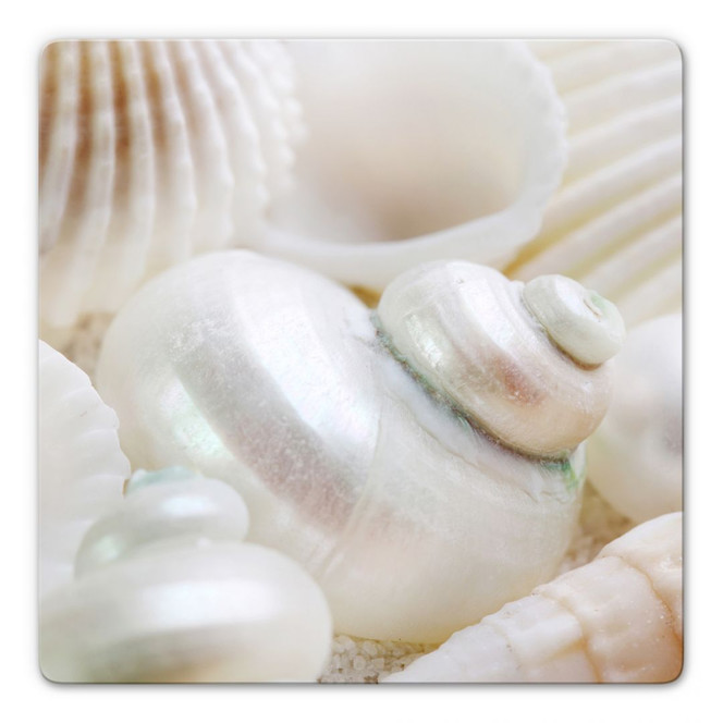 Glasbild Perlmuttglanz