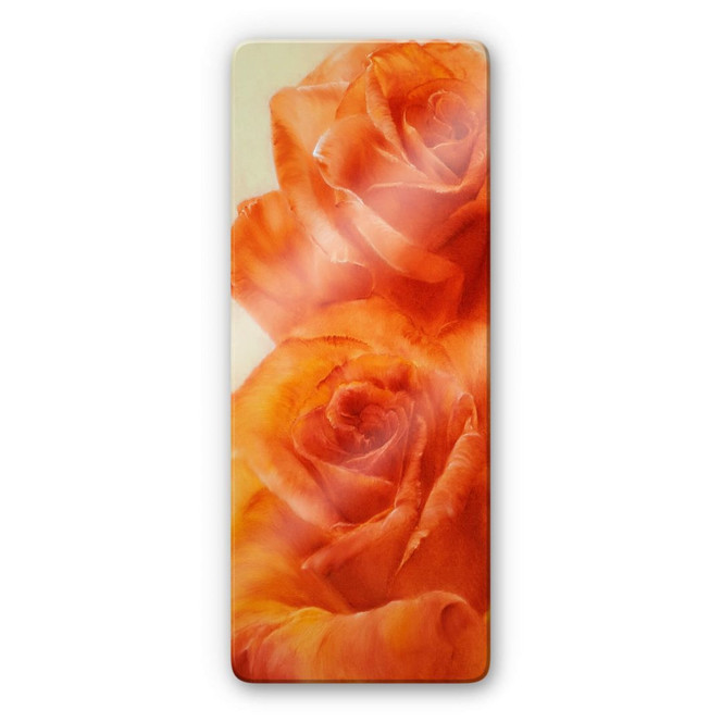 Glasbild Schmucker - Rosen