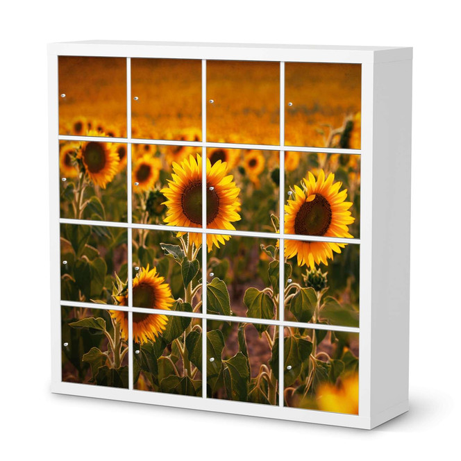 Möbelfolie IKEA Expedit Regal 16 Türen - Sunflowers- Bild 1