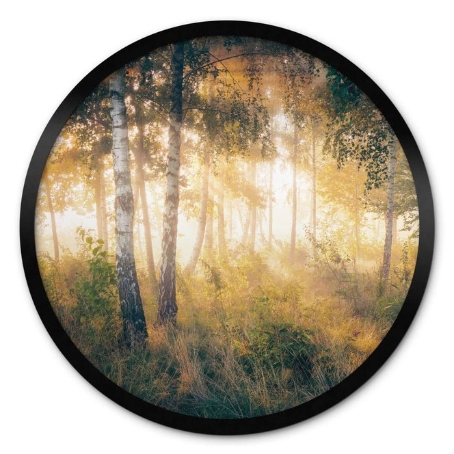 Poster Sonnenschein im Birkenwald - Kado - Rund