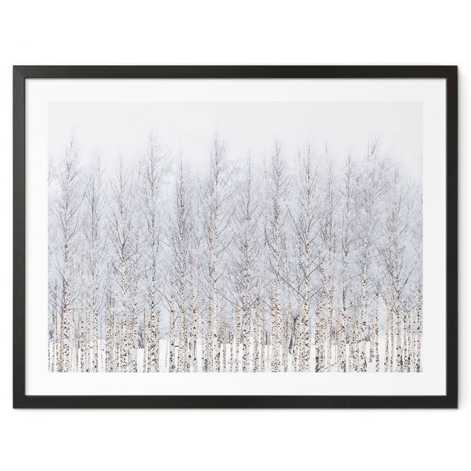 Poster Birkenwald im Winter - EMELIEmaria