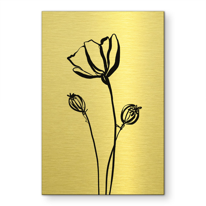 Alu-Dibond gebürstet mit Goldeffekt - Line Art Mohnblume - Cats & Dotz