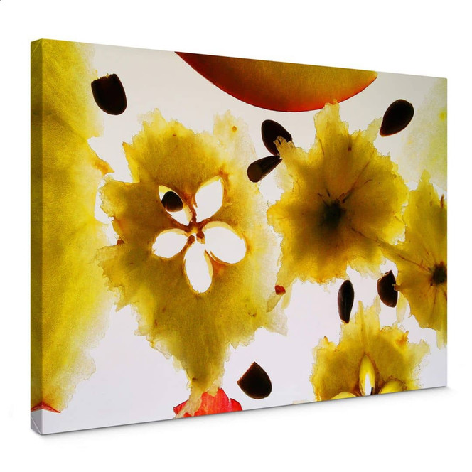 Leinwandbild Abstract Fruits