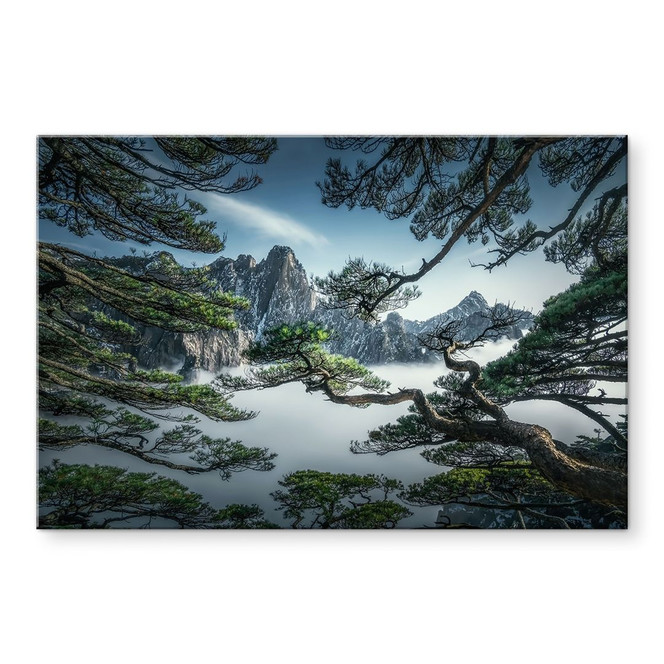 Acrylglasbild Kiefernwald im Huang Shan Gebirge - NingYun Ye
