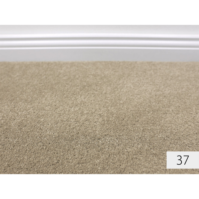 Amaryllis Softflor Teppichboden Meterware in 37