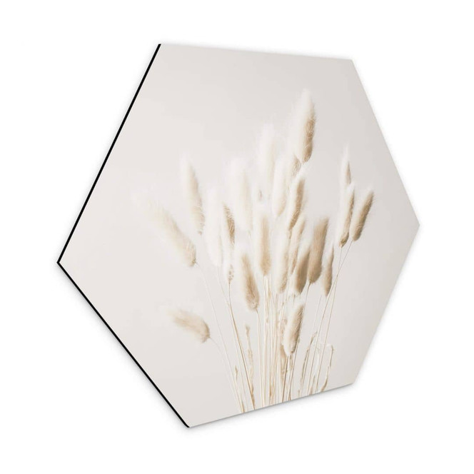 Hexagon - Alu-Dibond 1X Studio - Getrocknete Gräser